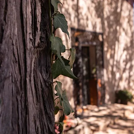 Quinta De Sao Francisco 维塞乌