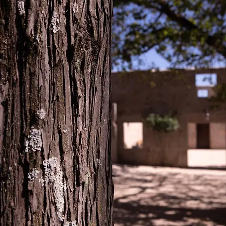 乡村民宿 Quinta De Sao Francisco *