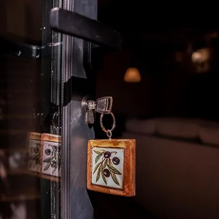 乡村民宿 Quinta De Sao Francisco 维塞乌