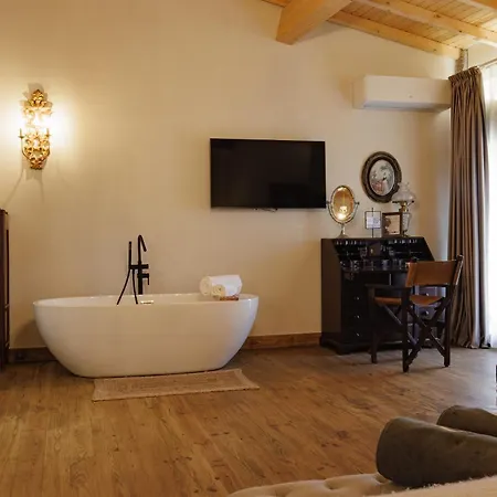 乡村民宿 Quinta De Sao Francisco 维塞乌