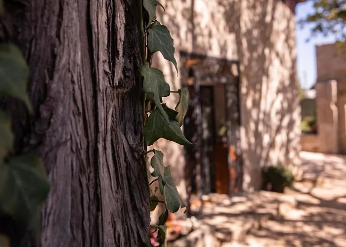 Quinta De Sao Francisco Viseu